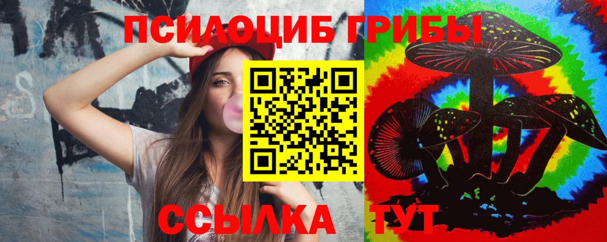 Псилоцибиновые грибы GOLDEN TEACHER Березники